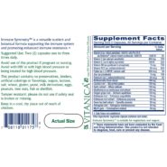 Alternative view of Immune Symmetry - 60 capsules