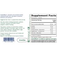 Alternative view of Cholestblend - 90 capsules