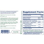 Butterbur Extra - 120 capsules - Image 2