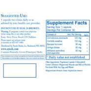 Bacopa Plus - 60 capsules - Image 2