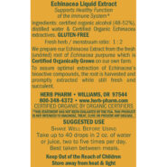 Echinacea Glycerite - 1 ounce - Image 2