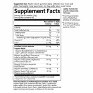 Alternative view of myKind Organics Elderberry - 120 gummies