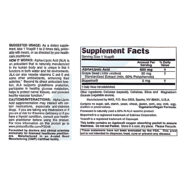 Alternative view of Alpha Lipoic Acid 600mg - 60 capsules