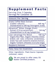 Alternative view of Lean Advantage - 90 capsules