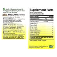 Alternative view of Kidney Bladder - 100 capsules
