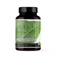 CoQ10 200mg + Vitamin E 60 IU - 30 vcaps VEGAN - Image 3