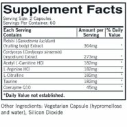 Mushroom Energy & Endurance - 120 capsules - Image 3