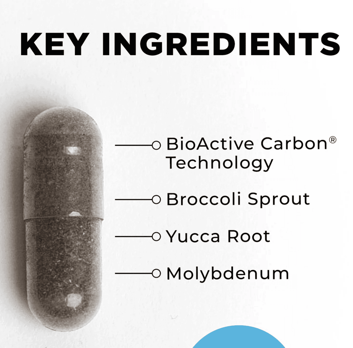BioToxin Binder - 120 capsules - Image 3
